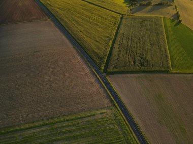 Güneşli bir akşamda tarım arazileri arasındaki yola insansız hava aracı bakışı 