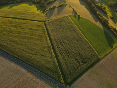 Yazın güneşli bir akşamda kırsal alanların havadan görünüşü ve yol.
