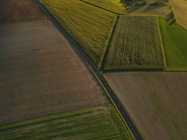 Drone view of a road between agriculture fields on a sunny evening