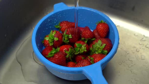 Aardbeien Schoonmaken Met Water Gootsteen — Stockvideo