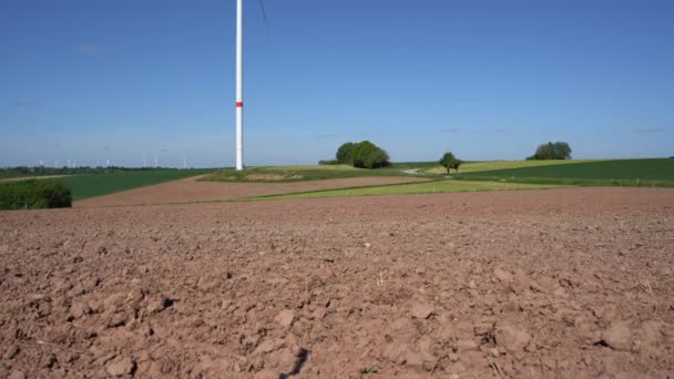 Farmářské Pole Půdou Zelení Rostoucí Úrodou Slunečného Jarního Dne — Stock video