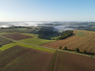 Güneşli ve sisli bir sabahta tarlaları ve ağaçları olan bir arazinin havadan görünüşü.