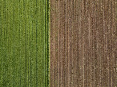 Çimen tarlası ve ekili tarla kırsal alanda toprak
