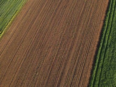 Yaz mevsiminde tarlalarda toprak sürülür. 