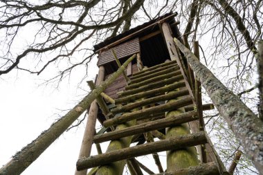 Ormanda saklanan avcıların en dipten görünüşü