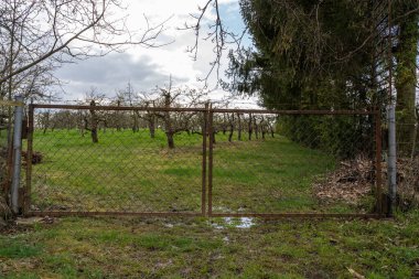 Soğuk bir baharda kırsalda bir meyve tarlasının paslı kapıları.