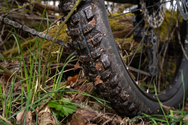 Dirty electric mountain bike wheel in the forest floor