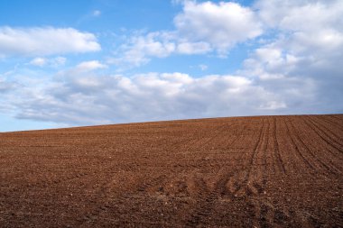 Kahverengi toprak ve mavi güneşli gökyüzü ile sürülmüş çiftlik arazisi