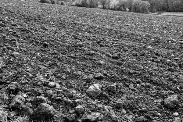 Plowed farm field with soil in black and white