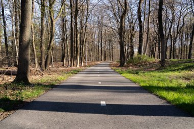 Manzarada bisiklet yolu 