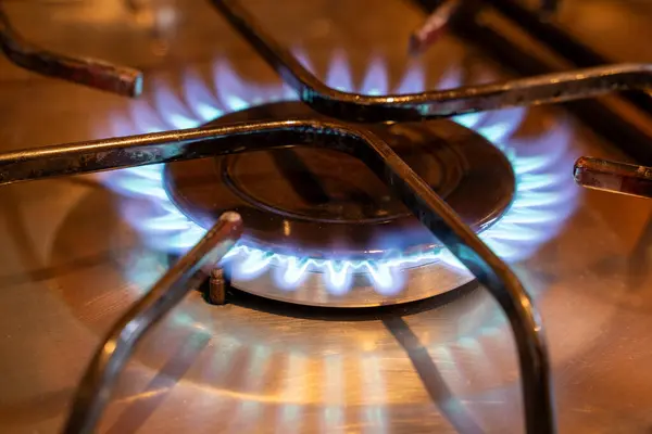 Burning gas burner on the gas stove
