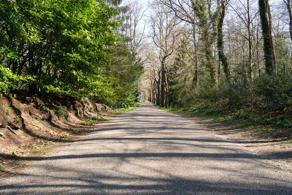 Çevrede patika ve bisiklet yolu 