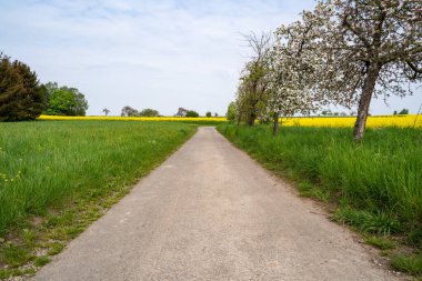 Kırsalda çimenler ve ağaçlar arasında yürüyüş