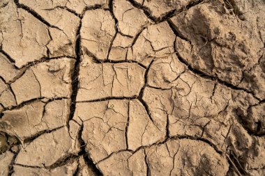 Kahverengileşmiş toprak arkaplanı