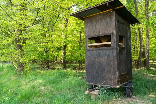 Hunter ormanda bir karavanda saklanıyor.