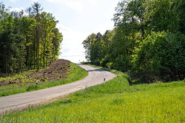 Çevredeki ağaçlar ve çimenler arasındaki kıvrımlı yol 