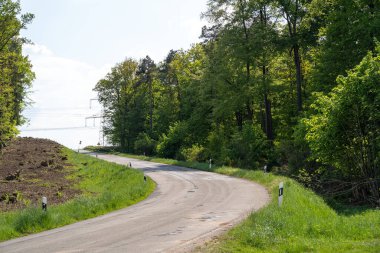 Kırsaldaki ağaçlar arasında virajlı bir yol