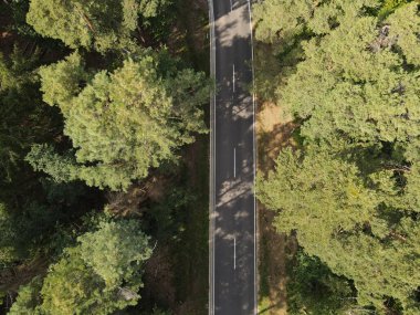 Ormandaki ağaçlar arasındaki bir yolun havadan görünüşü