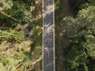 Ormandaki ağaçlar arasındaki bir yolun havadan görünüşü