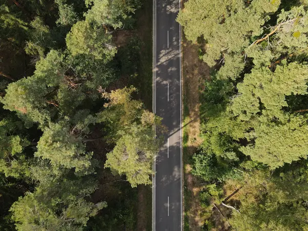 Ormandaki ağaçlar arasındaki bir yolun havadan görünüşü