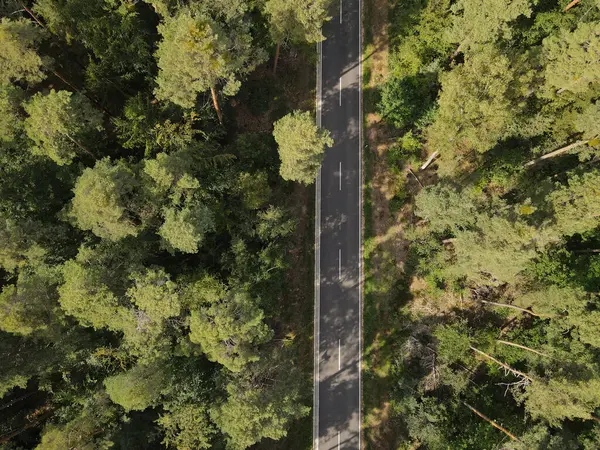 Ormandaki ağaçlar arasındaki bir yolun havadan görünüşü