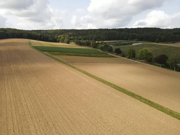 Aerial view of farm fields with soil in the countryside