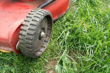 Çim biçme makinesi bahçede çim biçerken 