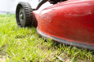 Çim biçme makinesi bahçede çim biçerken 