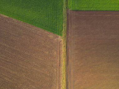Kırsal kesimde toprak ve çimen olan tarlaların yukarıdan görünüşü