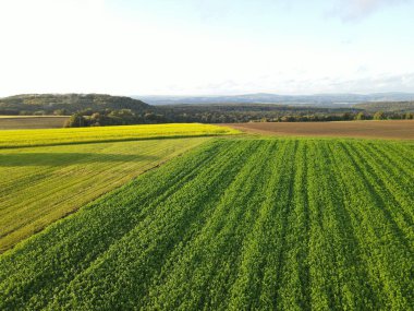 Kırsal kesimdeki tarım arazilerinin havadan görünüşü