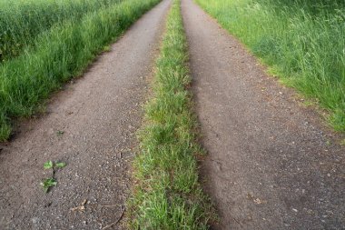 Kırsal kesimde köy şeridi 