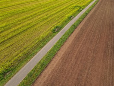 Kırsal kesimdeki tarlalar arasındaki asfalt bir yolun üzerinden görüntüle 