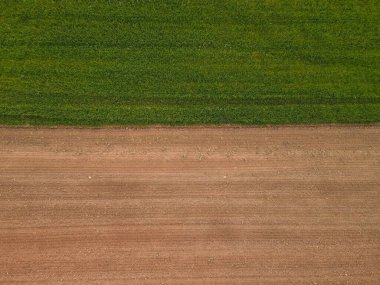 Topraklı ve otlu tarım arazisi 