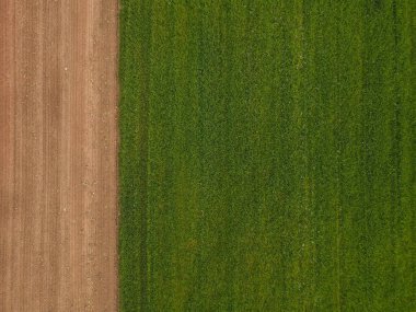 Toprak ve çimlerle kaplı bir ülke. 