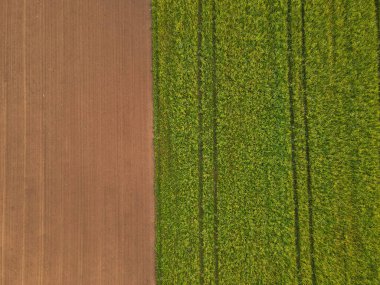 Toprak ve kolza tohumu olan bir tarlanın havadan görünüşü 