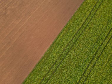 Toprak ve kolza tohumu olan bir tarlanın havadan görünüşü 