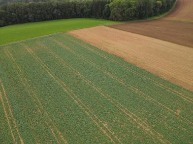 Kırsal kesimdeki tarım arazilerinin havadan görünüşü 
