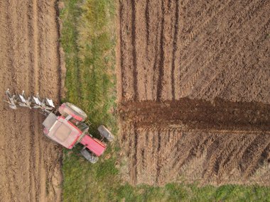 Kırmızı traktörün havadan görünüşü tarlayı sürüyor. 