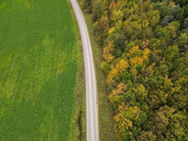 Sonbaharda çimenler ve ağaçlar arasındaki yolun üstünden bak.