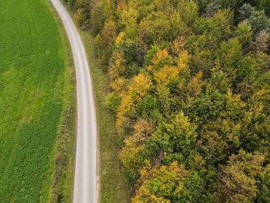 Sonbaharda çimenler ve ağaçlar arasındaki yolun üstünden bak.
