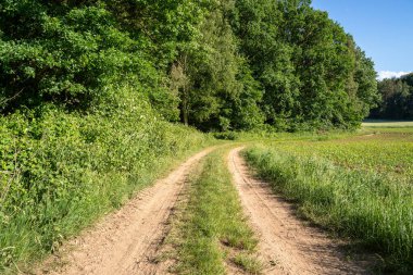 Kırsal bölgedeki toprak yol.