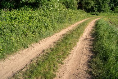 Yazın kırsal alanda toprak bir yol manzarası