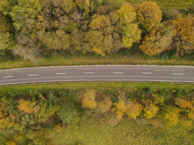 Sonbaharda çimenler ve ağaçlar arasında kırsal bir yolun havadan görünüşü