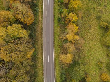 Sonbaharda çimenler ve ağaçlar arasında kırsal bir yolun havadan görünüşü