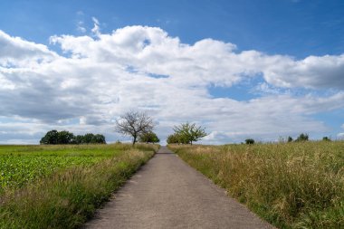 Yazın arazideki patika.