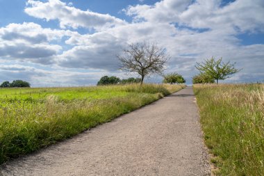 Yazın kırsal kesimde yol