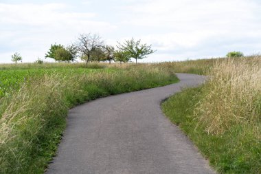 Yazın kırsal kesimde patika 