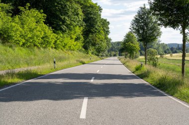 Kırsalda çimenler ve ağaçlar arasındaki yol