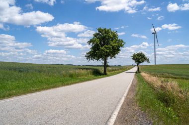 Ağaçlar ve mavi gökyüzü ile arazide yol 