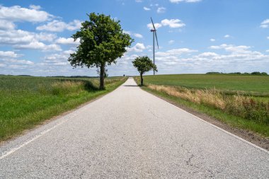 Ağaçlar ve mavi gökyüzü ile arazide yol 
